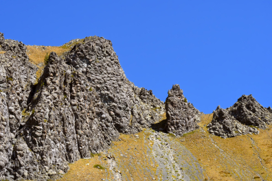 Collet vert - pillow-lavas
